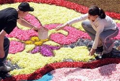 Sztuka płatkami malowana