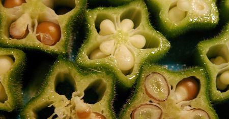 Gotowana okra (róża chińska) bez dodatku soli, odsączona