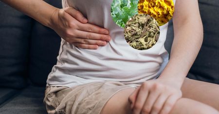Trzy produkty, które wspierają wątrobę. Chronią przed uszkodzeniami, oczyszczają