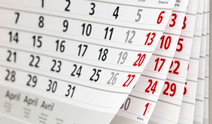 Cała Polska im zazdrości. Firma z Poznania zmienia system pracy