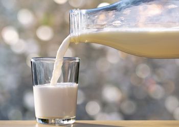 Krzyżówka dla miłośników mleka? Znasz napoje mleczne?