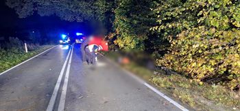 Kolejne informacje o kierowcy. Znaleźli go w zaroślach, dziś wyniki badań