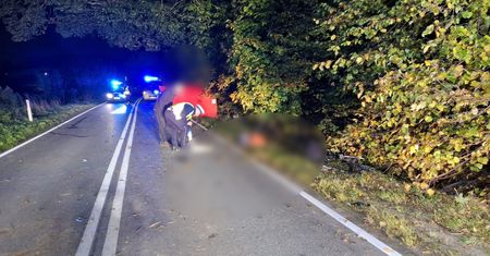 Kolejne informacje o kierowcy. Znaleźli go w zaroślach, dziś wyniki badań
