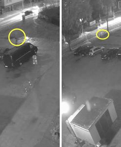 Uciekła z miejsca wypadku. Policja prosi o kontakt