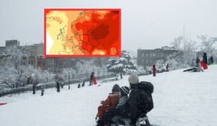 Ciepły początek 2026 roku. Zima i wiosna z rekordowymi temperaturami
