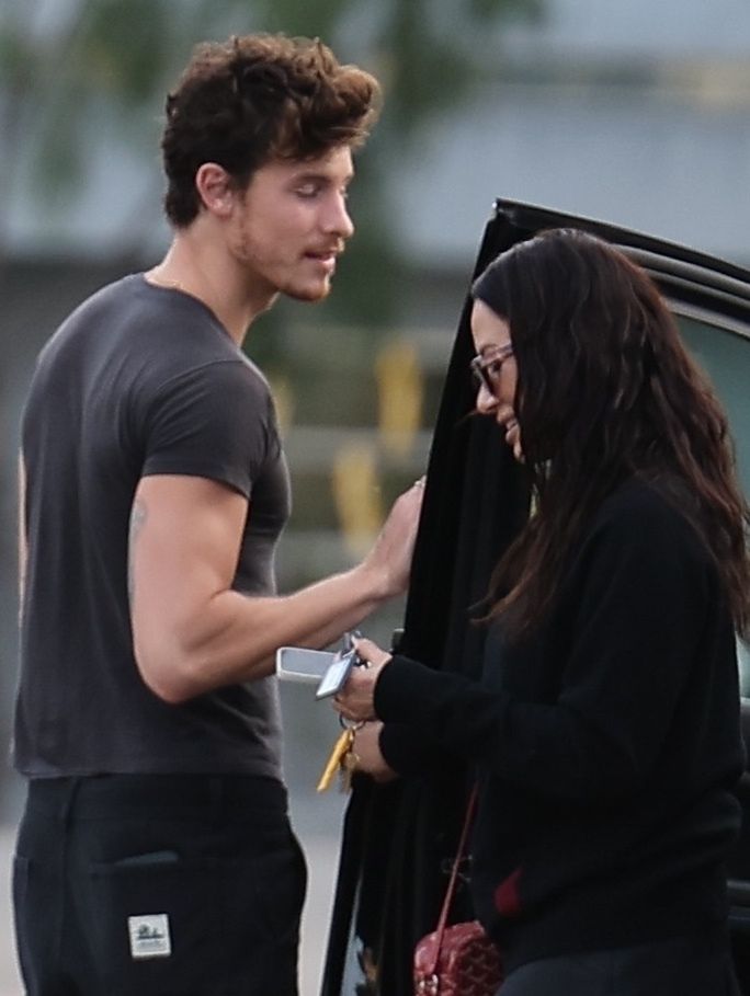 Shawn Mendes na zakupach w LA