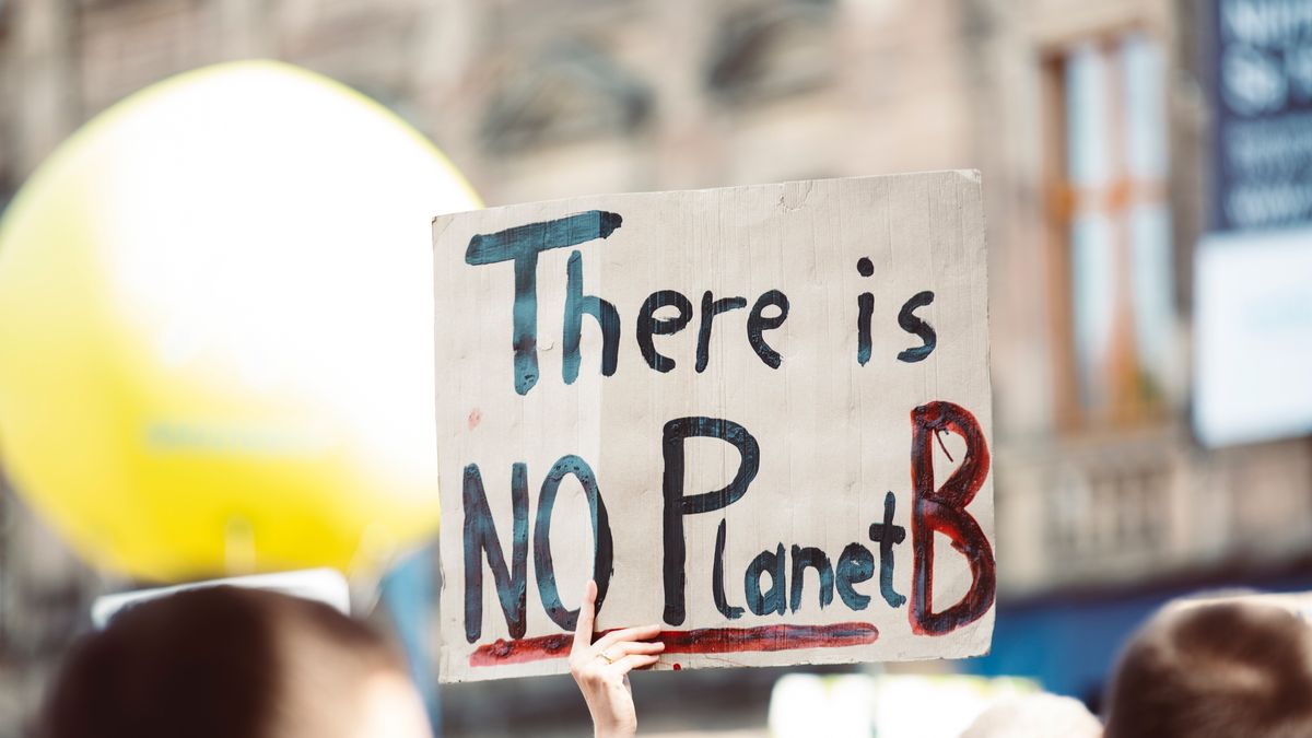 Aktywiści klimatyczni usłyszeli wyrok sądu. Fot.pexels-zdjęcie ilustracyjne