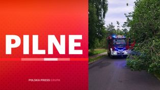 Silny wiatr w Koszalinie i okolicach. Strażacy z regionu interweniują