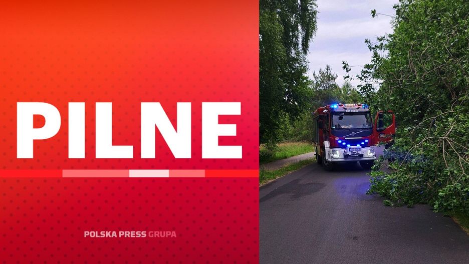 Wirtualna Polska