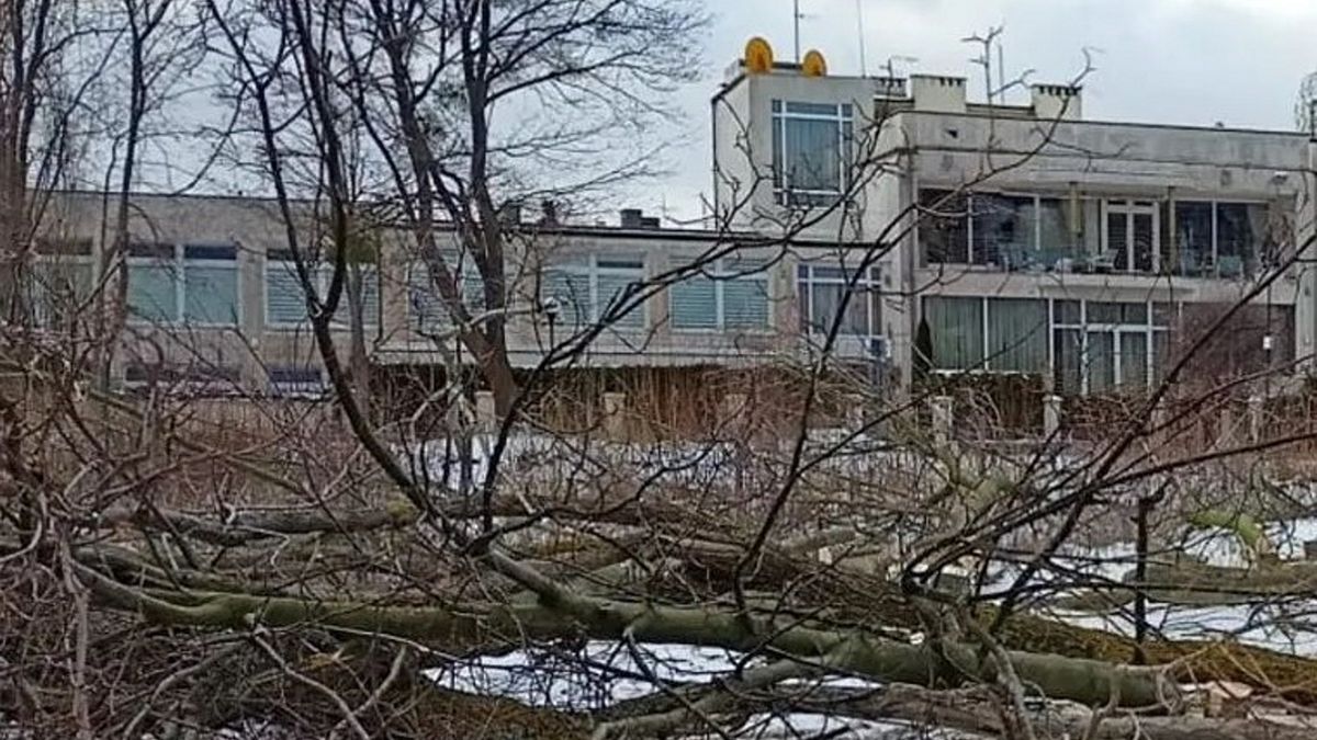 Ekolodzy byli załamani