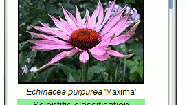 Pomysły z Symbian Ideas doczekają się realizacji 1