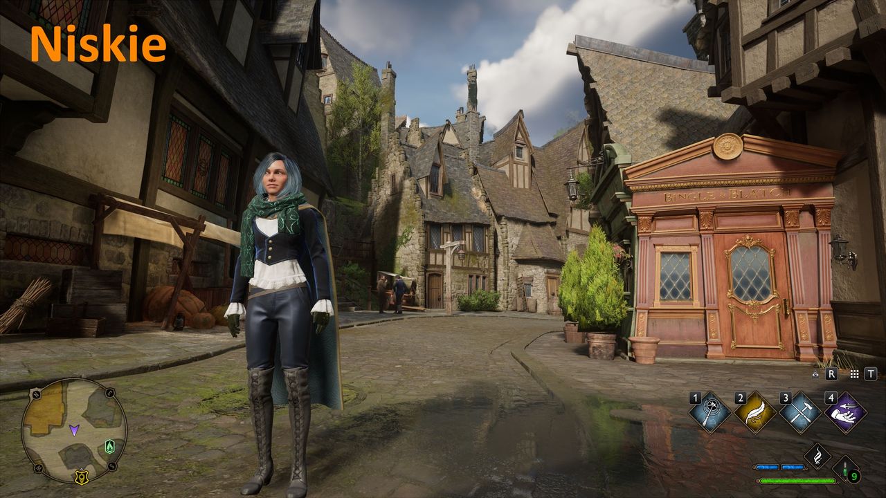 Hogwarts Legacy - ustawienia  niskie