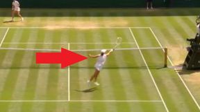 Creme de la creme. Oto najlepsze akcje Igi Świątek [WIDEO]