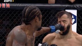 Destrukcja! "Superman" ciężko nokautuje na UFC 281 [WIDEO]