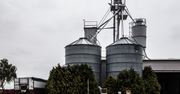 Dopłaty z KPO dla rolników 2025. MRiRW szykuje zmiany