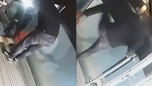 Przez złodziei stracił blisko 5 mln złotych. Jest nagranie