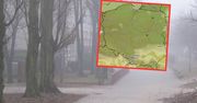 Zgniły wyż nad Polską. Szykujcie się. Oto co nas czeka