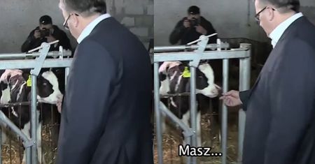 Komorowski do cielaka: "PALEC POSSIESZ? Uwielbiałem z siostrą dawać im palec!"