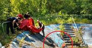 Łoś wpadł do zbiornika. Niecodzienna akcja ratunkowa