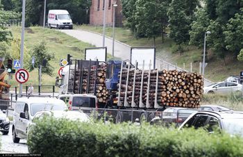 Ograniczyli, ale nie zakazali. Tak Tusk realizuje obietnicę ws. drewna