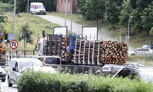 Ograniczyli, ale nie zakazali. Tak Tusk realizuje obietnicę ws. drewna