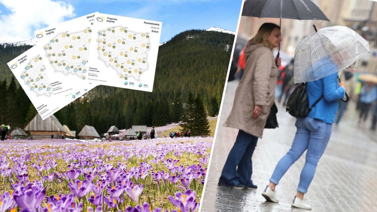 Prognoza pogody na najbliższe dni