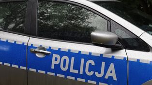 Tarnów: Pies skonał w męczarniach. Mężczyzna usłyszał zarzut