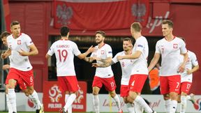 Polska - Irlandia. Michał Kołodziejczyk: Zakazać takich meczów (Komentarz)