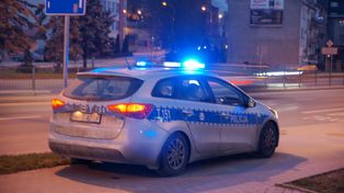 Przemyska policja komentuje akcję z niedźwiedziem