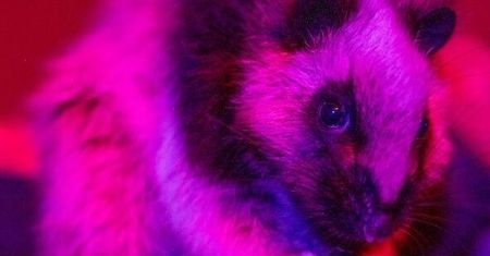 Polska atrakcja się powiększyła. Nowego mieszkańca już można podziwiać
