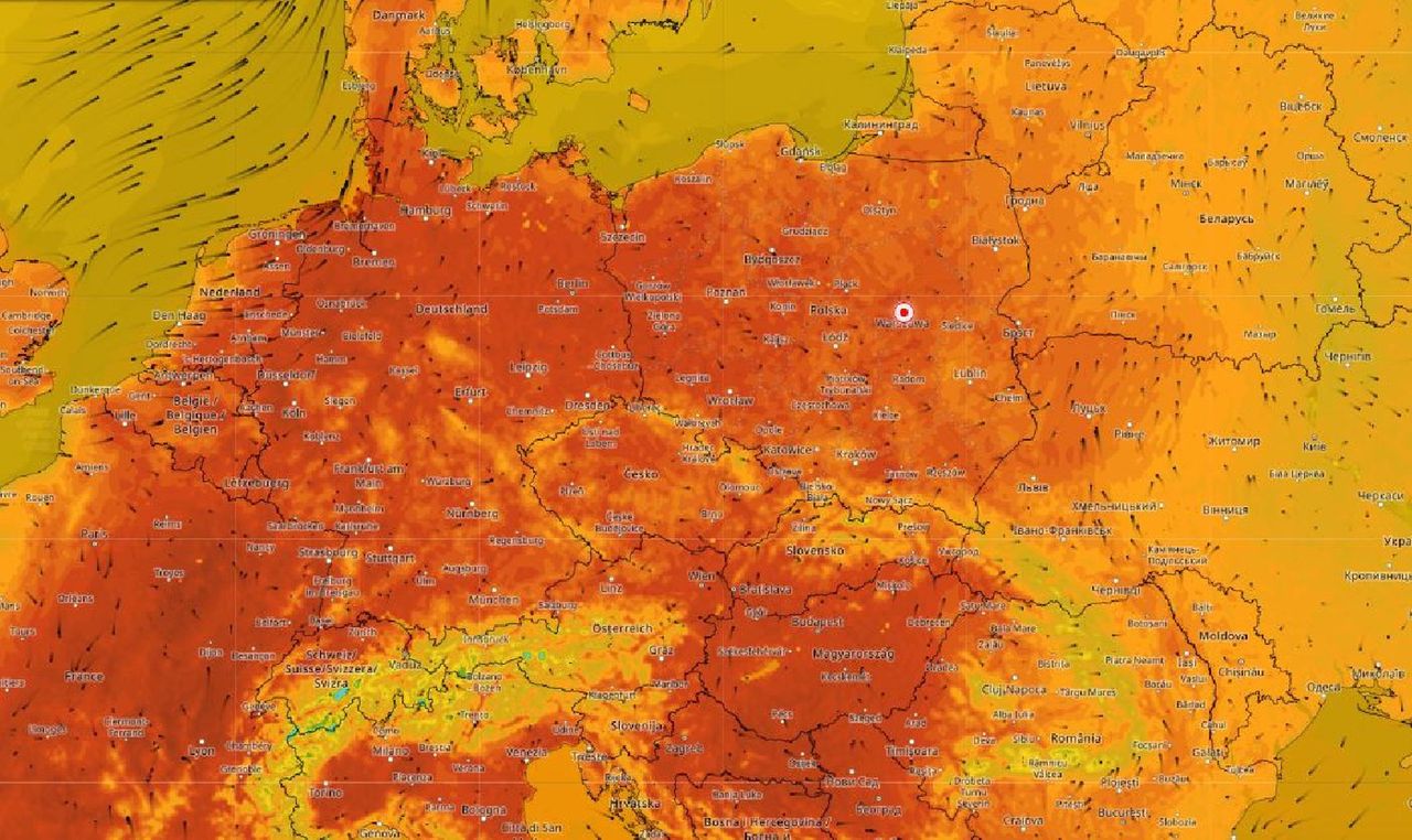 Do Polski wróci lato. Niewiarygodne prognozy synoptyków