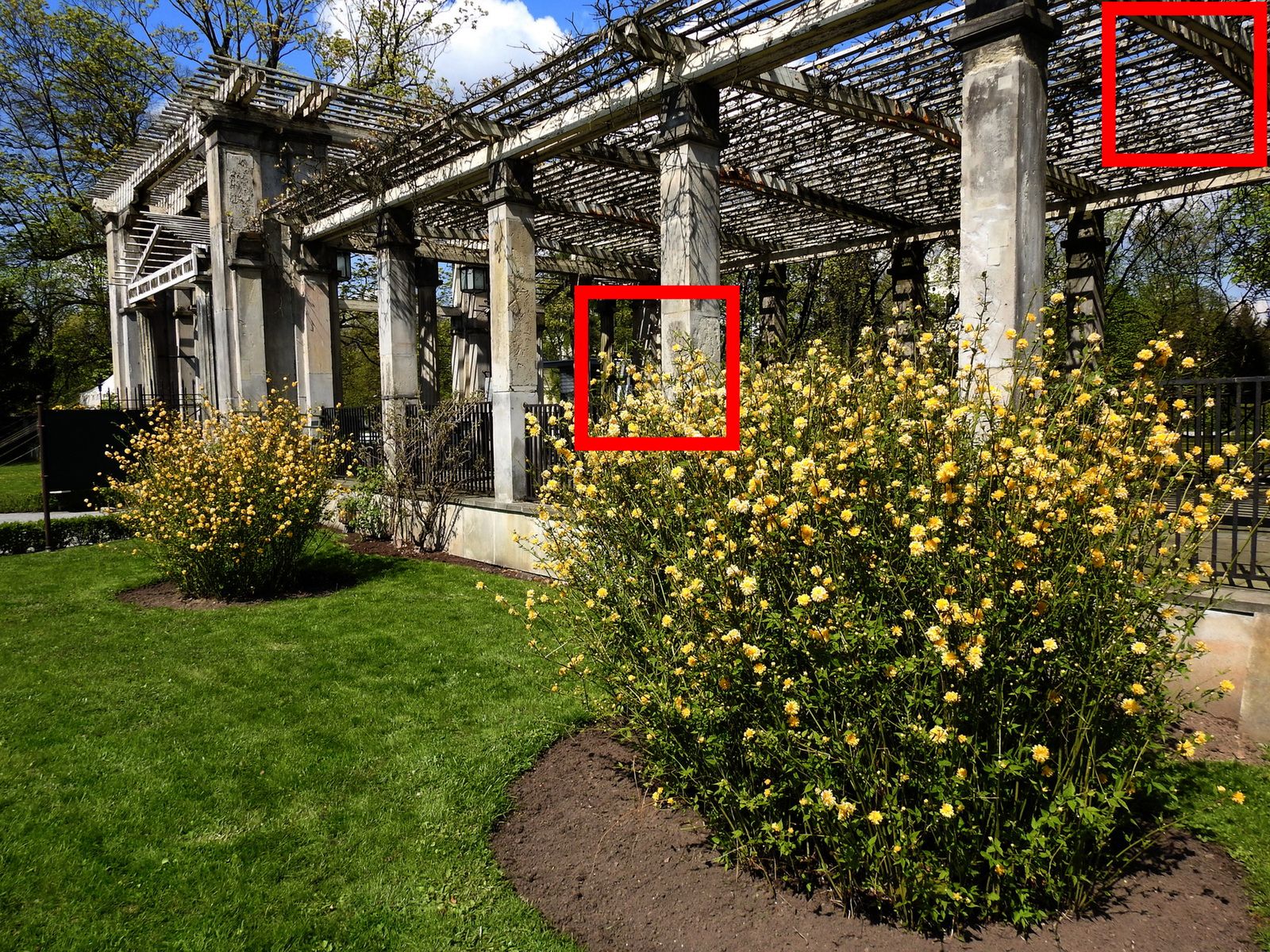 Nikon Coolpix P900 – dwumetrowy zoom! 21