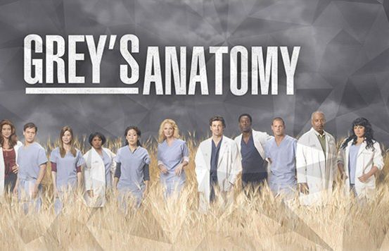 Dwunasty sezon serialu "Chirurdzy" (wideo)