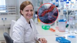 Bakteria może wspierać leczenie raka jelita. Obiecujące wyniki badania