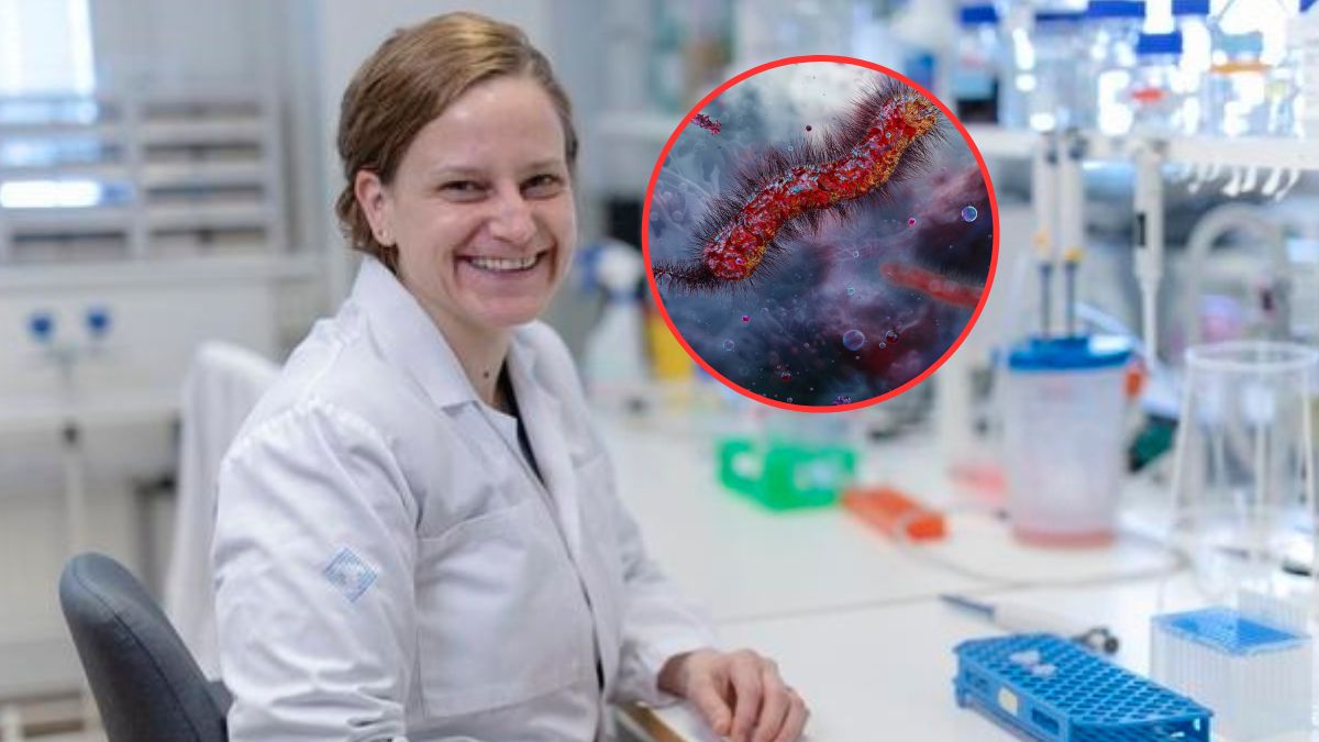 Bakteria, która leczy. Toksyna cholery hamuje rozwój raka jelita grubego