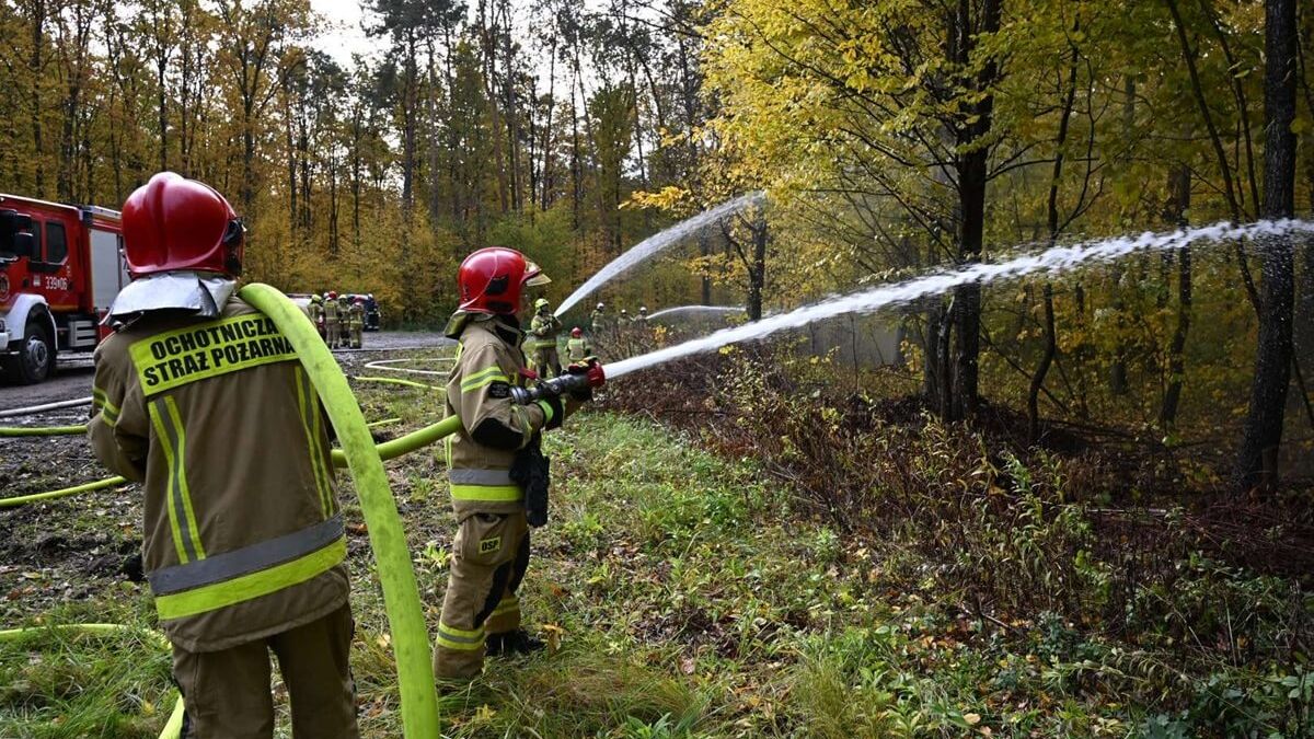 Strażacy biorący udział w ćwiczeniach zgrywających "Las Dąbrowa"
