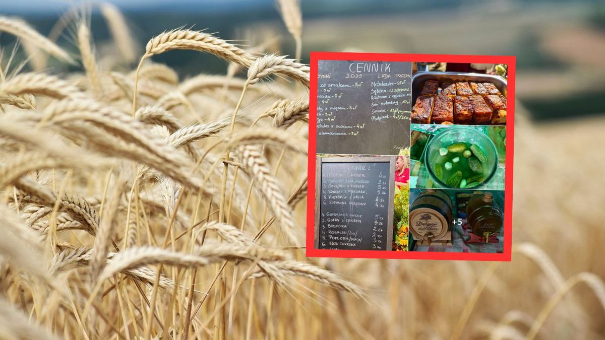 Lemoniada za 2 zł, szaszłyk za 4 zł – tak smakują dożynki na Pod