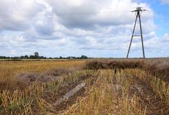 Woda zalała im żniwa. Są załamani. "Straciłem 270 tys. zł"