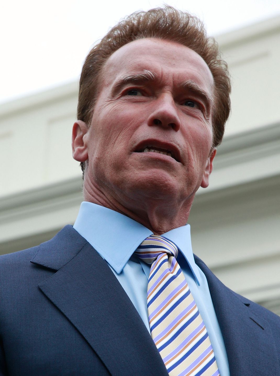 Arnold Schwarzenegger