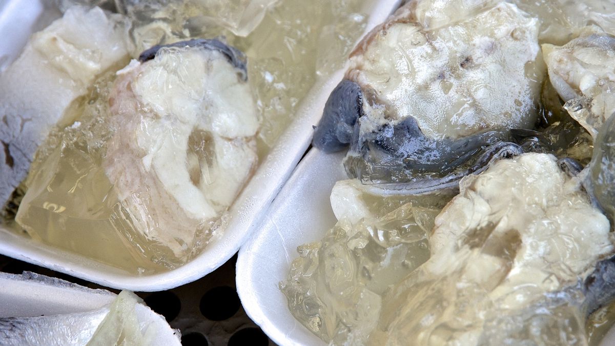 Warto jeść rybę w galarecie