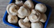 Przez jedną rzecz pieczarki psują się dużo szybciej. Wiele osób tak robi
