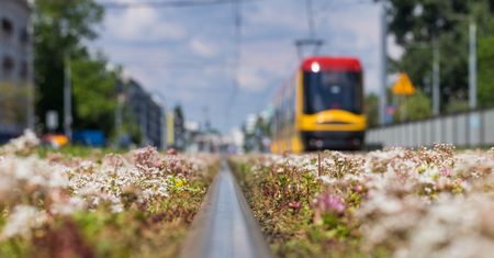 Warszawa. Na Bielanach wykoleił się tramwaj