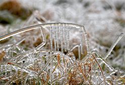 Pogoda. Ostrzeżenie IMGW. Nadchodzą przymrozki