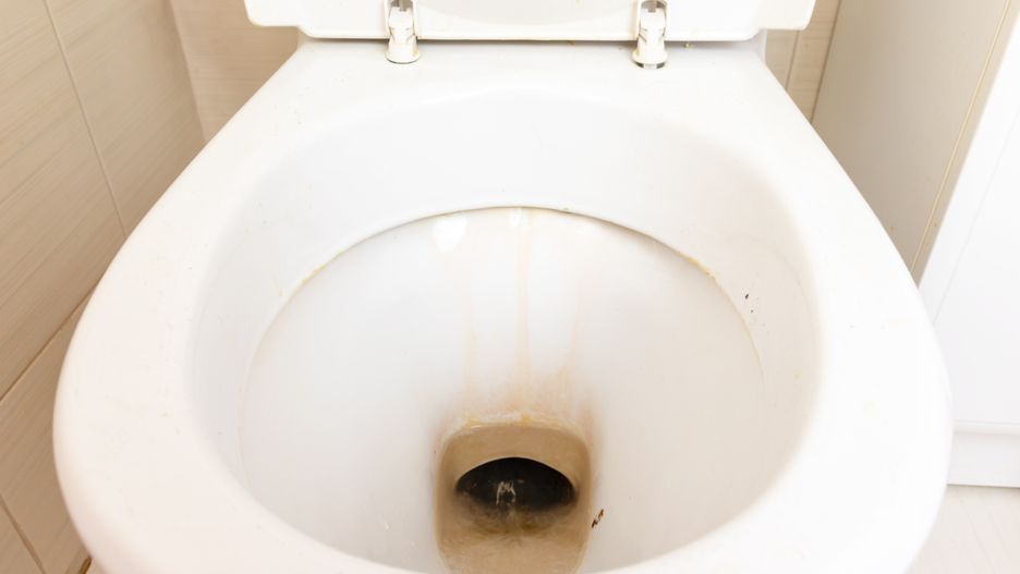 Jak pozbyć się kamienia z muszli toaletowej?