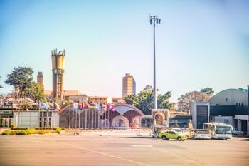 Pracownicy lotniska przecierali oczy ze zdumienia. Chciał przemycić dwa tys. mrówek