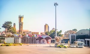 Pracownicy lotniska przecierali oczy ze zdumienia. Chciał przemycić dwa tys. mrówek