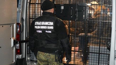 Cudzoziemcom przedstawiono zarzut przekroczenia granicy przy użyciu podstępu.