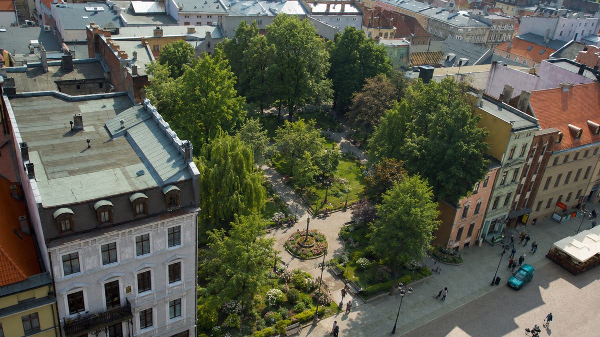 Czy rynek wyglądałby lepiej z parkiem zamiast Dworu Artusa?