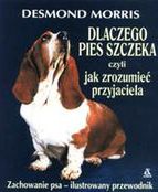 Kroniki Wardstone 5. Pomyłka Stracharza