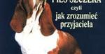 Kroniki Wardstone 5. Pomyłka Stracharza
